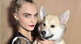 Kontroversielt halsbånd får dyreelskere til å rase mot Cara Delevingne
