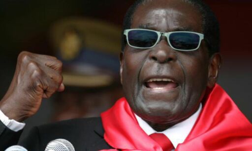 Mugabe feirer bursdag med elefantslakting: - Avskyelig