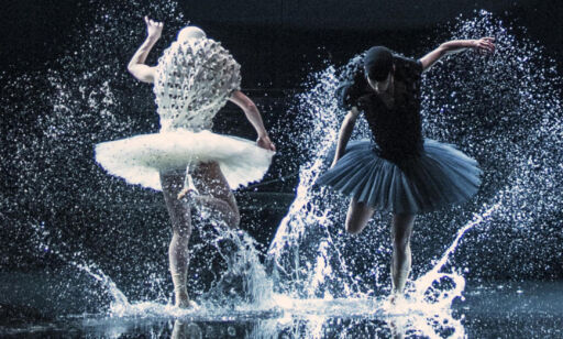Anmeldelse: «A Swan Lake»