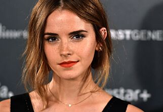 Da et lugubert nettsted la ut bilde av Emma Watson i gjennomsiktig topp tok hun affære
