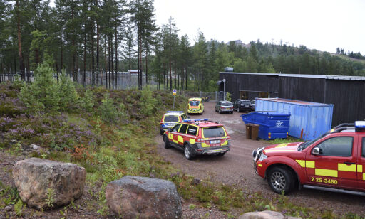 Tenåring døde etter bjørneangrep i svensk dyrepark