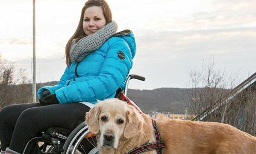 Du vet det er farlig, så hvorfor bruker du mobiltelefonen i bilen?