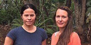 Nordmenn i Harare: Våknet av skudd og eksplosjoner