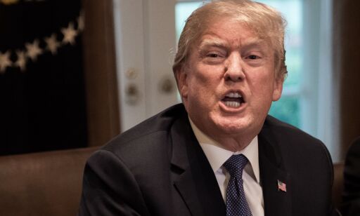Trump raser mot ny bok: - Oppdiktet svindel